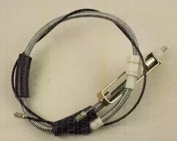 triscan-814017113