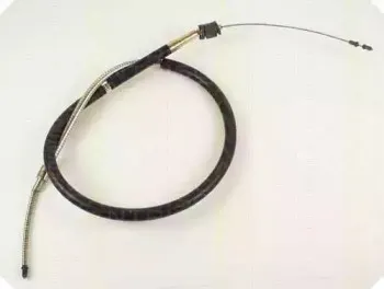 triscan-814023113