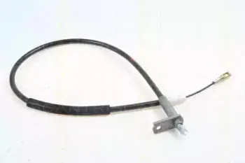 triscan-814023129