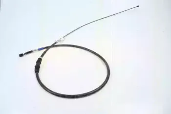 triscan-814024187