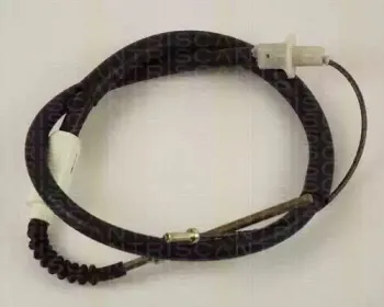 triscan-814024232