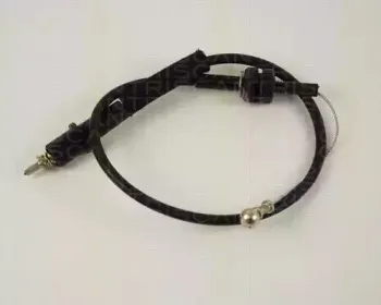 triscan-814024302