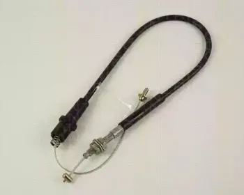 triscan-814024303