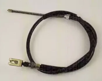 triscan-814025144