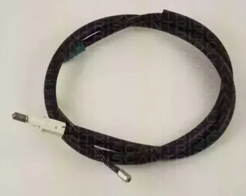 triscan-814025160