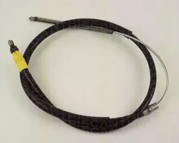 triscan-814025183