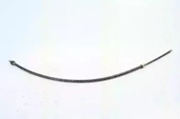 triscan-814025185