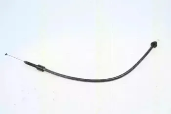 triscan-814025317