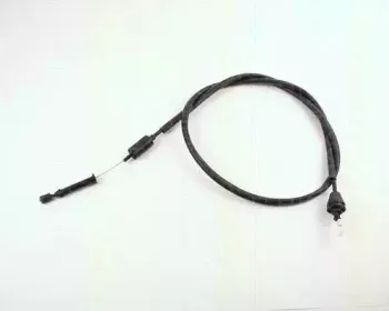 triscan-814025323