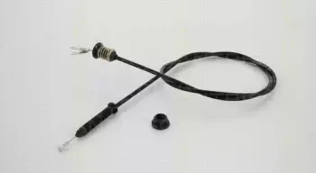 triscan-814025348