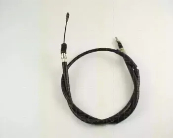 triscan-814027116