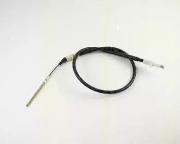 triscan-814027206