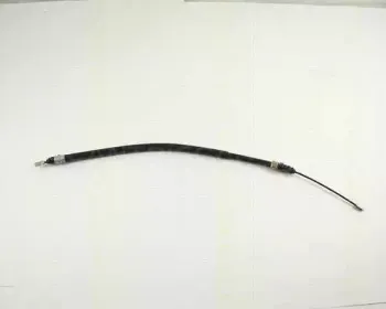 triscan-814028110