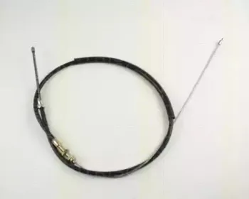 triscan-814028111