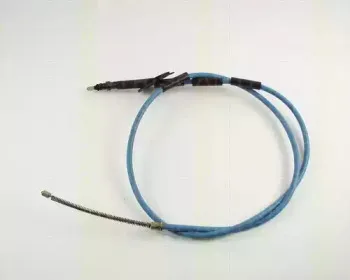 triscan-814028118