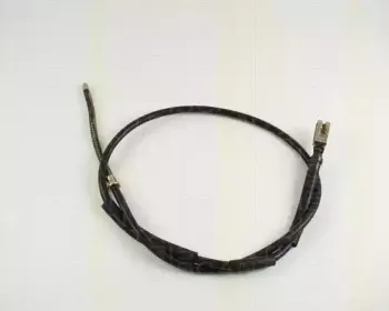 triscan-814028120