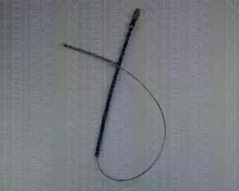 triscan-814028121