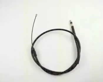triscan-814028146