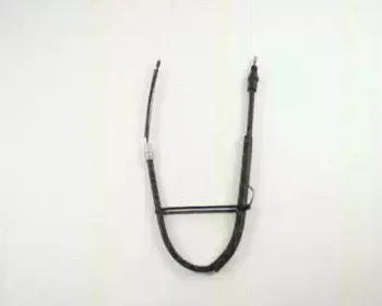triscan-814028153