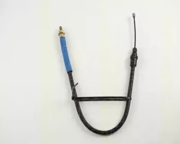 triscan-814028162