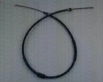 triscan-814028166
