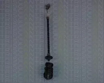 triscan-814028202
