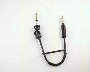 triscan-814028203