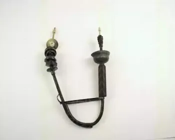 triscan-814028209