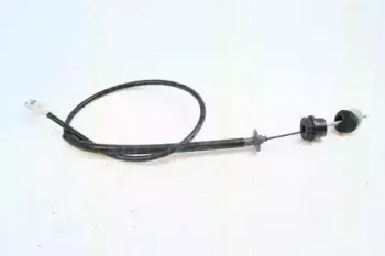 triscan-814028214