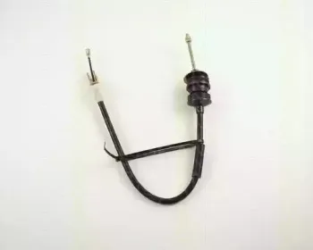 triscan-814028215