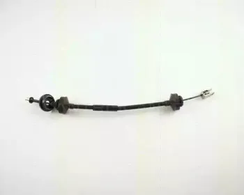 triscan-814028218