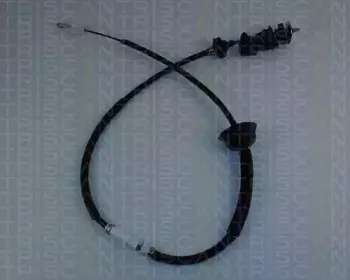 triscan-814028244