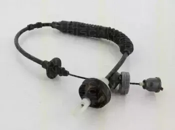triscan-814028251
