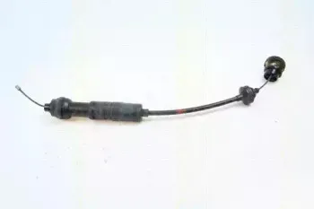 triscan-814028256