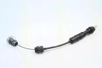 triscan-814028257