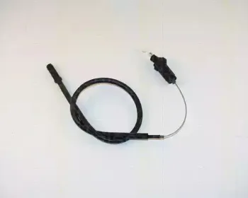 triscan-814028307