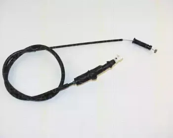 triscan-814028308