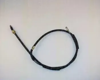 triscan-814029112
