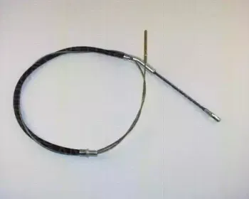 triscan-814029134