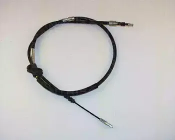 triscan-814029159