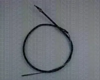 triscan-814029172
