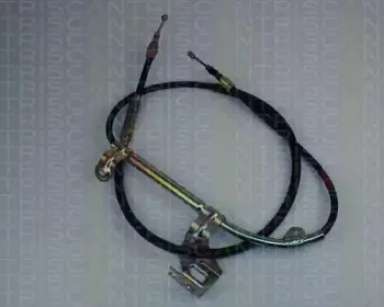 triscan-814029183