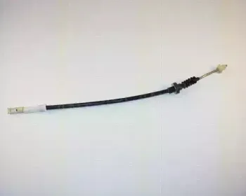 triscan-814029203