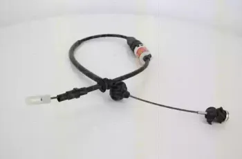triscan-814029248