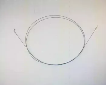triscan-814029314