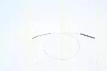 triscan-814029320