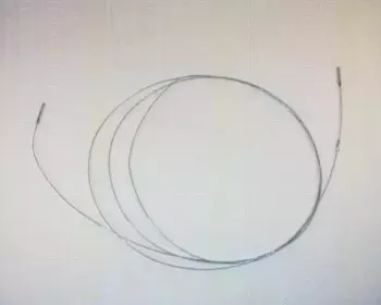triscan-814029321