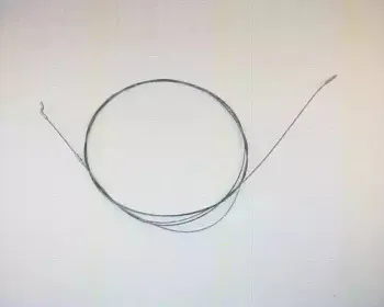 triscan-814029322