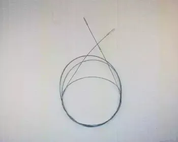 triscan-814029329