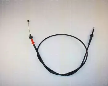 triscan-814029338